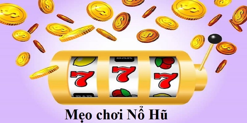 meo-choi-no-hu-ren-luyen-ky-nang-quay-hu