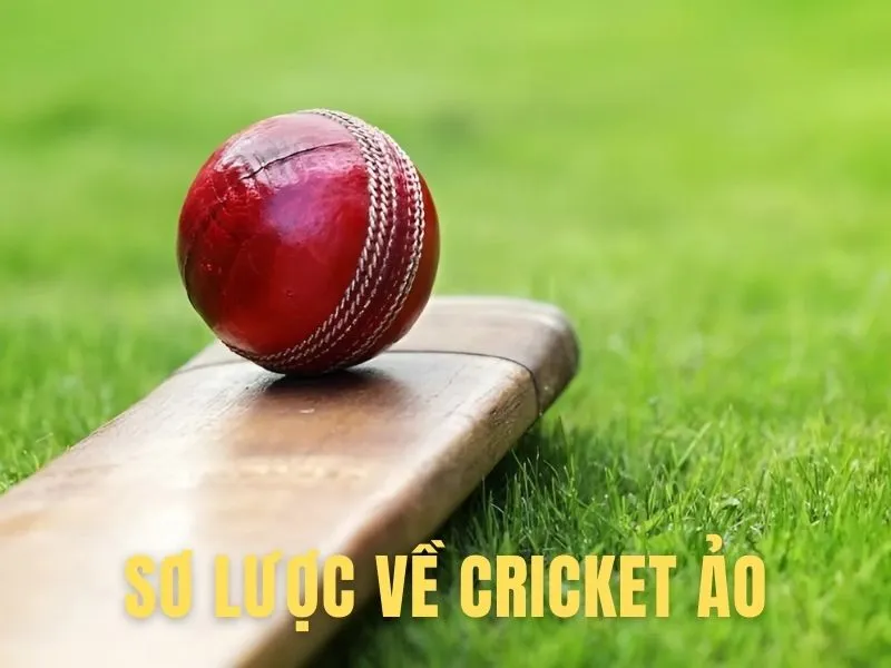 Giới thiệu sơ lược về Cricket ảo